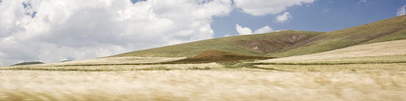 descondon-800x200-moving-lands